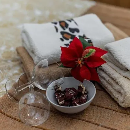 Megi Apartman Zimony